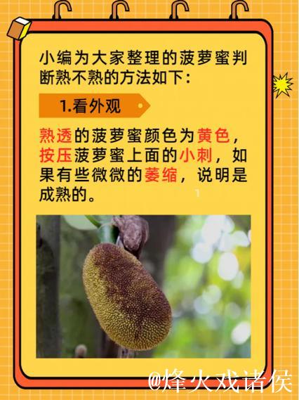 在线观看视频新选择：菠萝蜜视频入口全揭秘