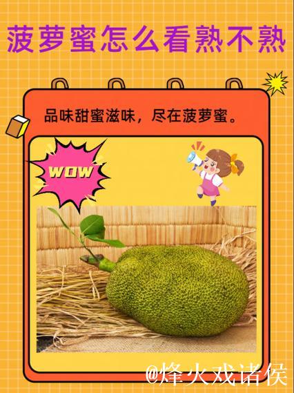 在线观看视频新选择：菠萝蜜视频入口全揭秘