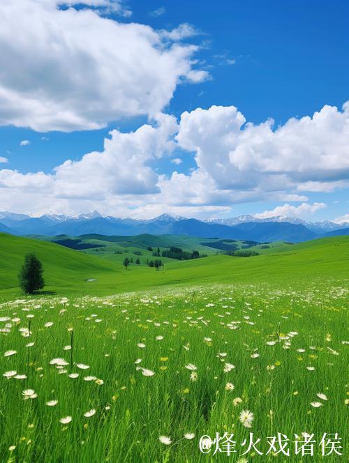 青青草久草:追寻自然与心灵的宁静 青青草久草:追寻自然与心灵的宁静